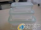 pyrex Rectangular Glass Stroage Containers